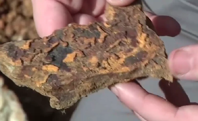 U neposrednoj blizini otkriveni su tragovi 215 topionica