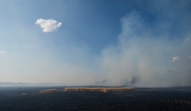 Dim iznad polja u regionu Nikolajeva 4. jula