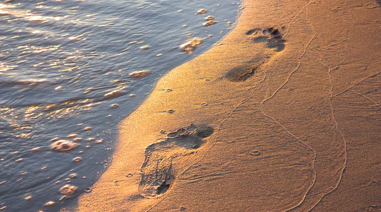 3,6 millió éves előember lábnyomokat találtak Tanzániában / Illusztráció: Northfoto