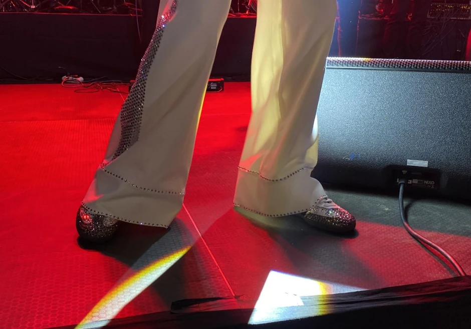 Ceca Ražnatović Užice