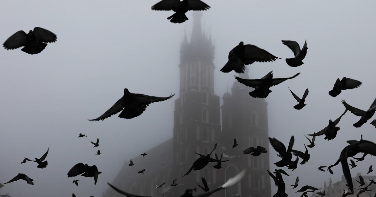 Alert RCB dla czterech województw. Ostrzegają przed wychodzeniem z domu