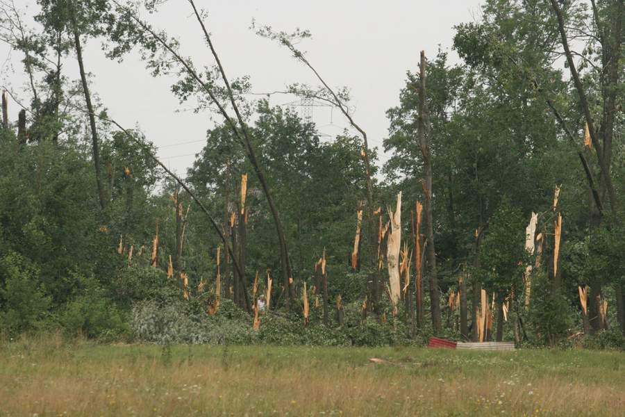 MarcinChudzik - Drzewa łamały się jak zapałki