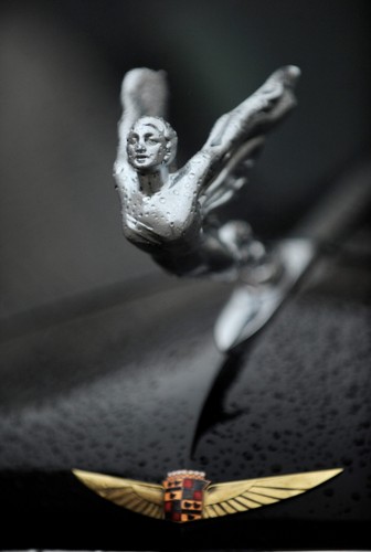 Cadillac Fleetwood Seven Passenger Limousine model 355D