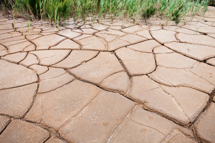 Srbija nema nacionalni plan upravljanja rizicima od suše