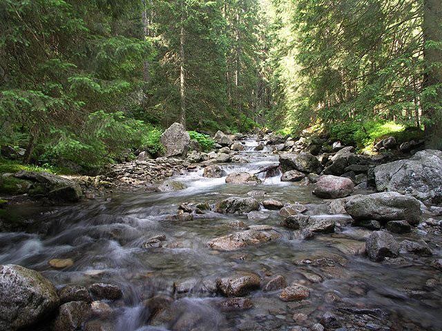 Galeria Polska - Tatry, obrazek 14