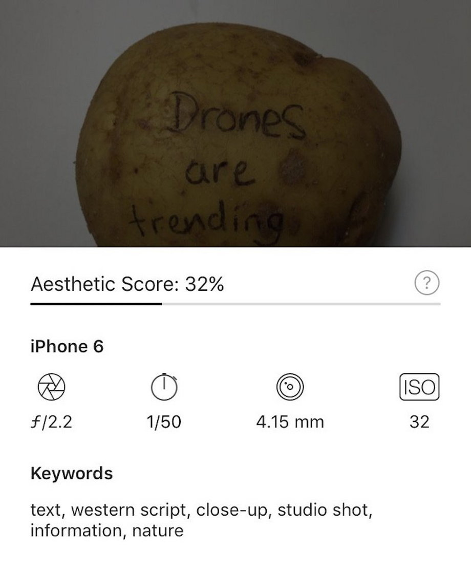 Dane wyciągnięte przez aplikację Roll ze zdjęcia ziemniaka