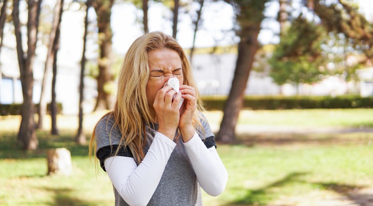 Ezek az ételek segítenek enyhíteni az allergiás tüneteket. Fotó: Getty Images