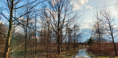 Koniec tygodnia pod znakiem ciepłej temperatury i wilgotnego powietrza. Gdzie wystąpią burze?