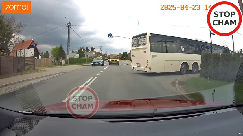 Dangerous overtaking on lanes. Recording from the pigeon freezing blood