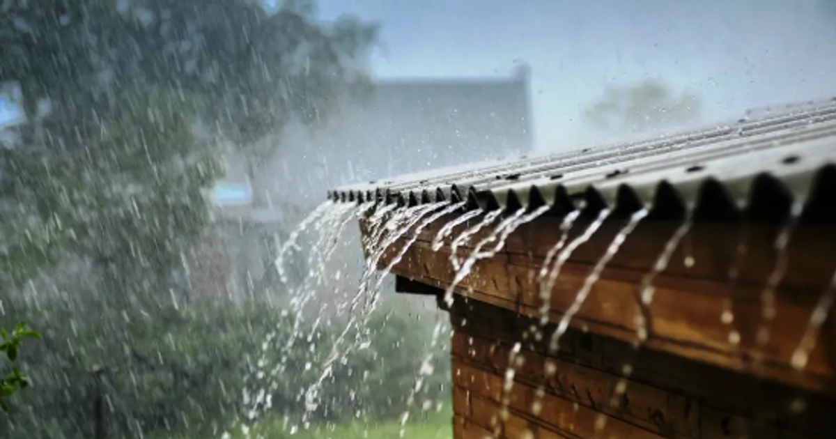 Some Nigerian states won't see rainfall until later in the year - Vimarsana News