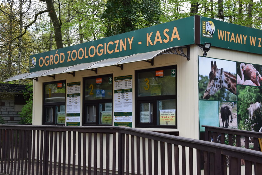 Zoo znów będzie czynne