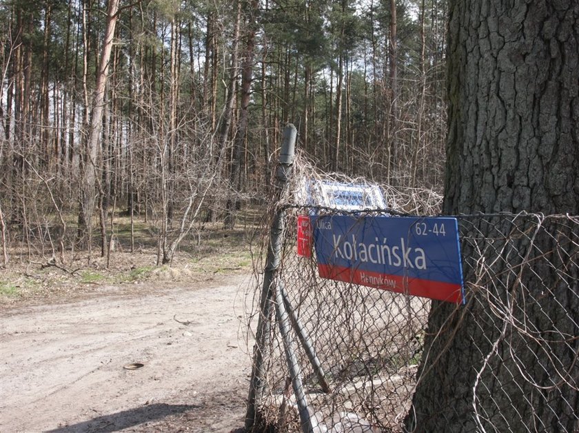 To on znalazł w lesie odcięte dłonie!