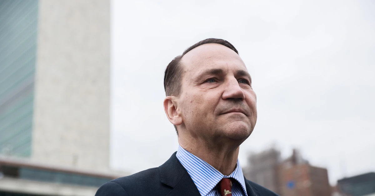 Polacy widzą go jako premiera. "Sikorski to jedyny profesjonalny minister w tym rządzie"