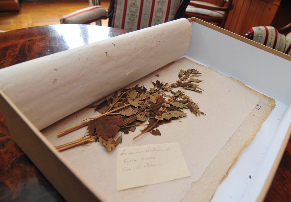 Među sačuvanim primercima su i neki koji su izumrli