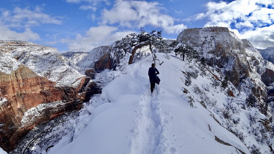 Podszczytowa panorama Angels Landing na stronę wschodnią