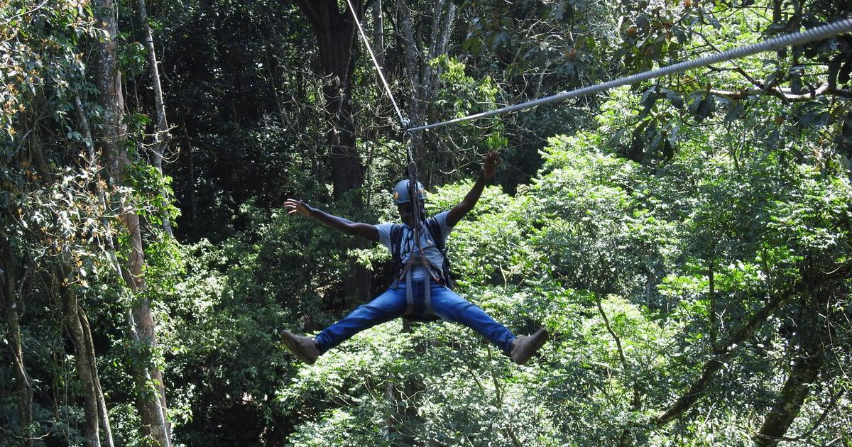 #Bucketlist2019: A guide to Ziplining in Nigeria | Pulse Nigeria