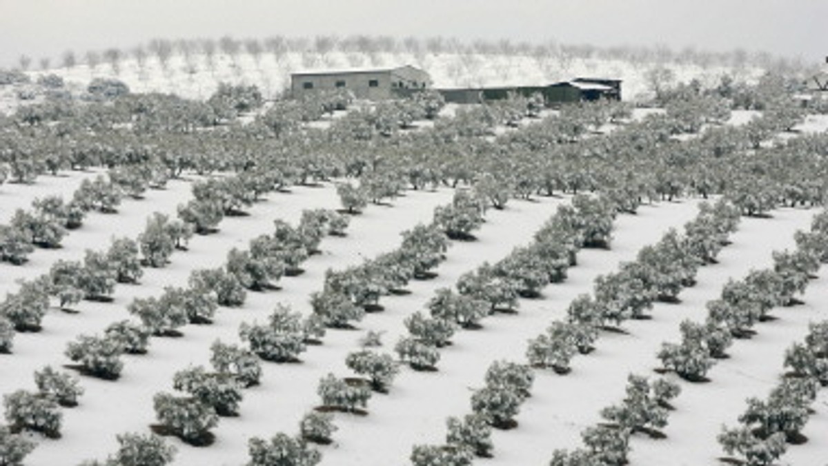 SPAIN-WEATHER-SNOW