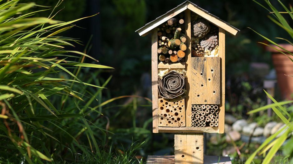 Dlaczego warto mieć w ogrodzie domek dla owadów?