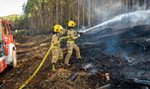 Chile walczy z pożarami. 3 osoby zginęły