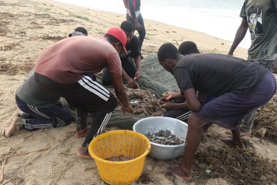 Masowy połów ryb pelagicznych: m.in. sardelek, makreli i sardynek. W Ghanie nazywanymi „rybami ludu” ze względu na ich ogromne znaczenie dla lokalnej gospodarki.