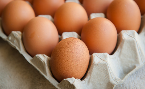 Salmonella na skorupkach jaj w sklepie. Inspektorat ostrzega
