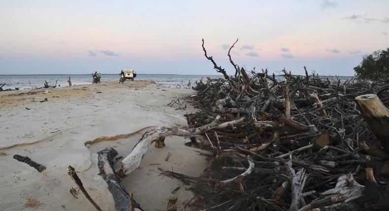 Mangrove covers a section of the Indian Ocean beach strip in Lamu Island, where the construction of a new port is due to begin, along the Kenyan coast April 17, 2013. KENYA-PORT/REUTERS/Anjali Nayar