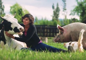 689879_zivotinje-foto-youtube-santuario-igualdad-interespecie