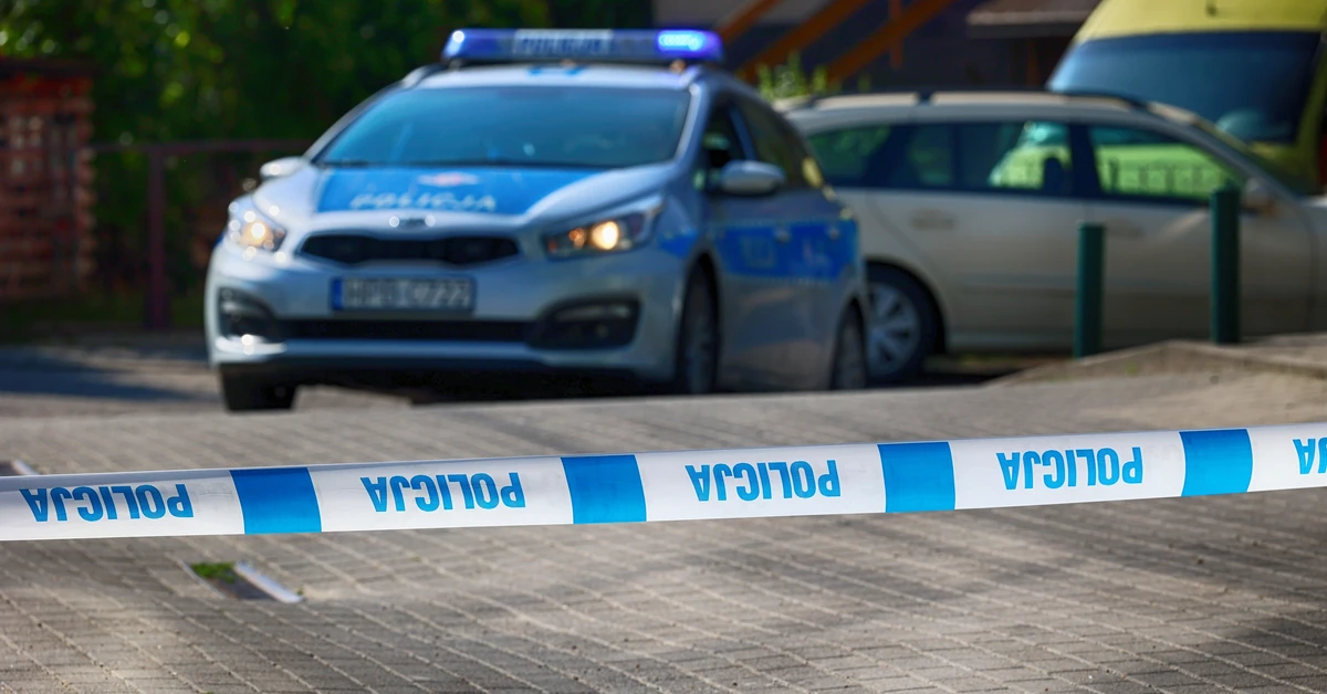 Szokujące morderstwo uczennicy szkoły podstawowej. Zatrzymano jej koleżankę