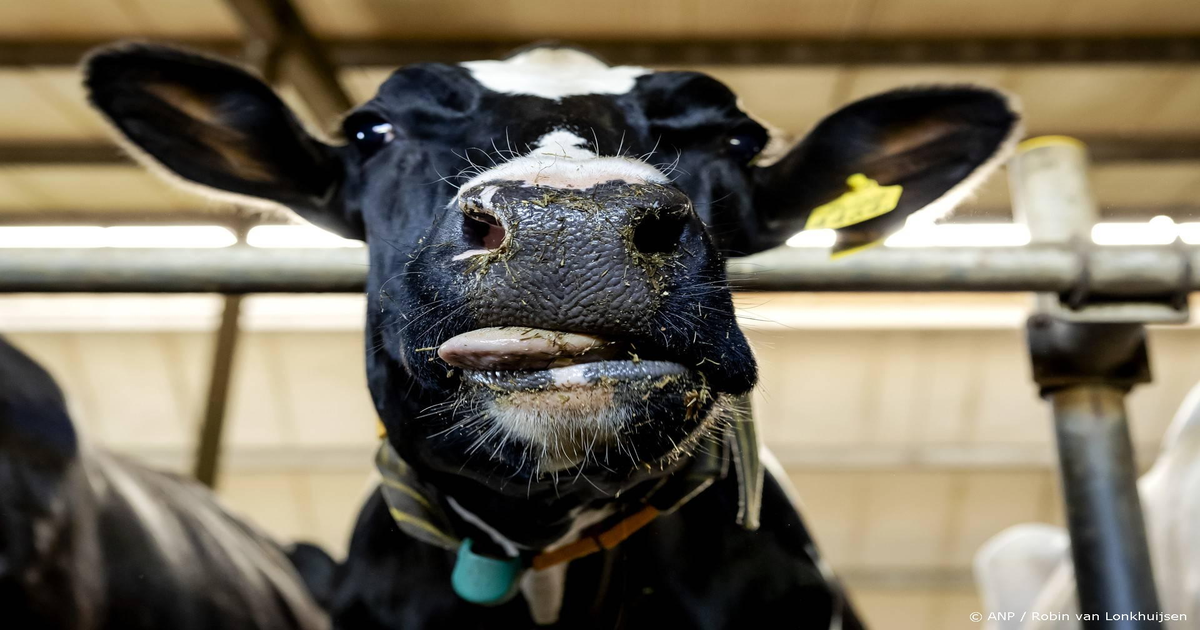 Stikstofplan-Boeren-willen-46-minder-uitstoot-in-2035
