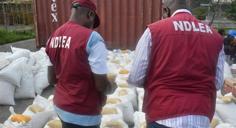 NDLEA arrests 95-year-old man for dealing in cannabis, (Punch)