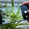 Galaxy S26 Plus