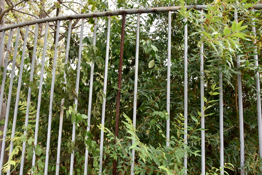 Dete može da se provuče