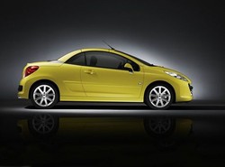 Prawdziwy lew na korcie