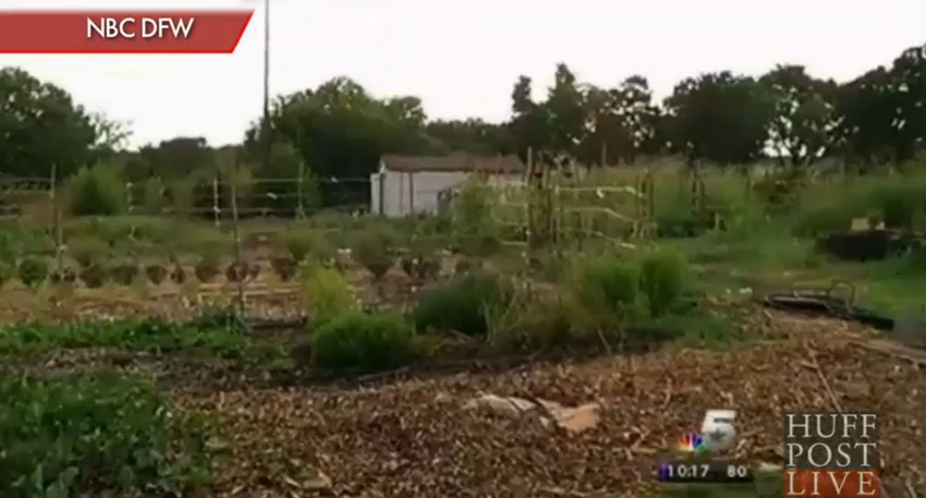 Ali su zato zaplenili zasade borovnice