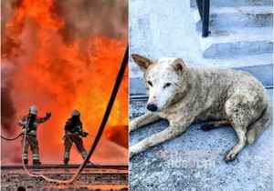 "Kiša nafte" u ruskom gradu Tuapseu