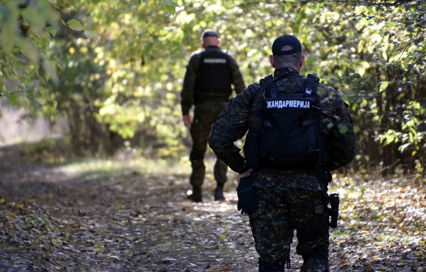 Pripadnici Žandarmerije u šumi/Ilustracija