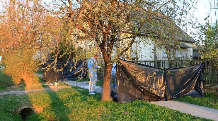 A családi ház udvarán történt a gyilkosság /Fotó: police.hu