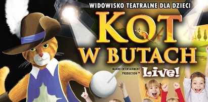 Kot w butach na żywo