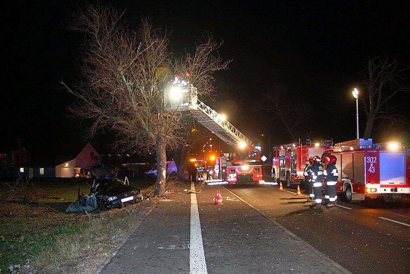 Wyleciał z auta na drzewo! Myśleli, że zginął na miejscu, a on... Nowe fakty