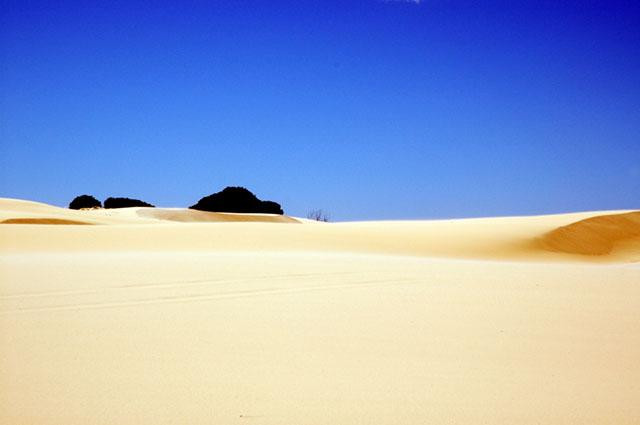Galeria Australia - Stockton Sand Dune, obrazek 10