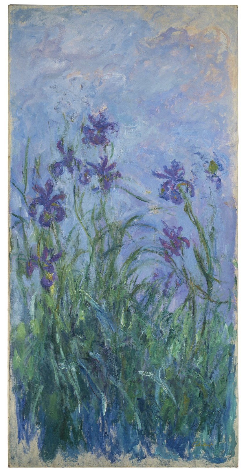 Slika "Iris boje sleza" Kloda Monea