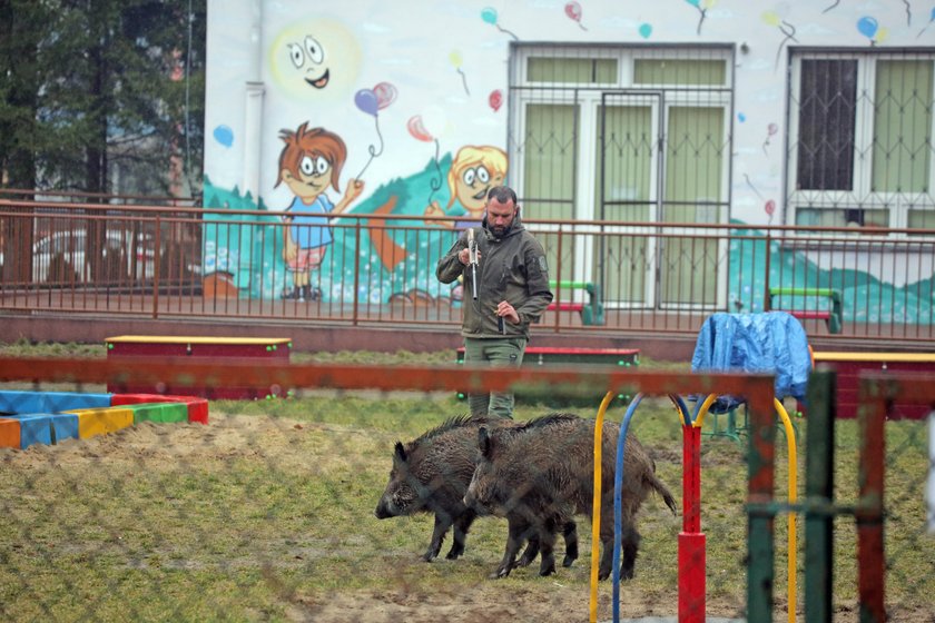 Kamil Polański, leśniczy