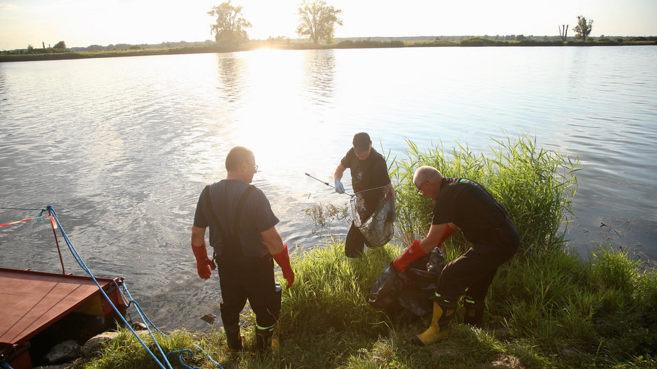 Widuchowa, rzeka Odra. Strażacy z PSP Gryfino i OSP Krzywin ustawili zaporę, która ma pomoc wyłapać płynące rzeką martwe ryby