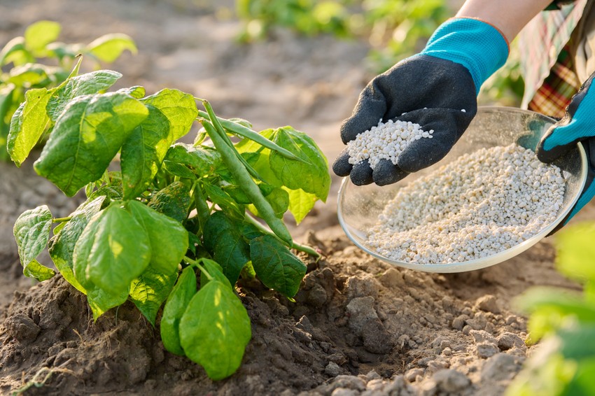 Cene đubriva mogle bi da porastu za 31 odsto u 2026.