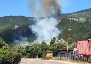 Požar u dolini Ibra