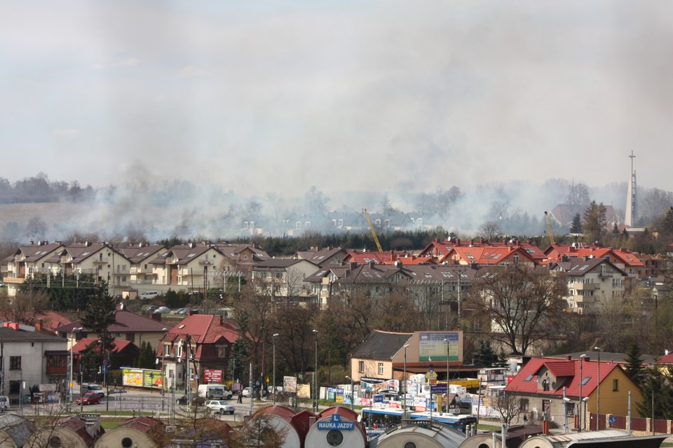 Pożar łąk w krakowskich Bronowicach, Fot. Dawid Hubrich/Daj znać!