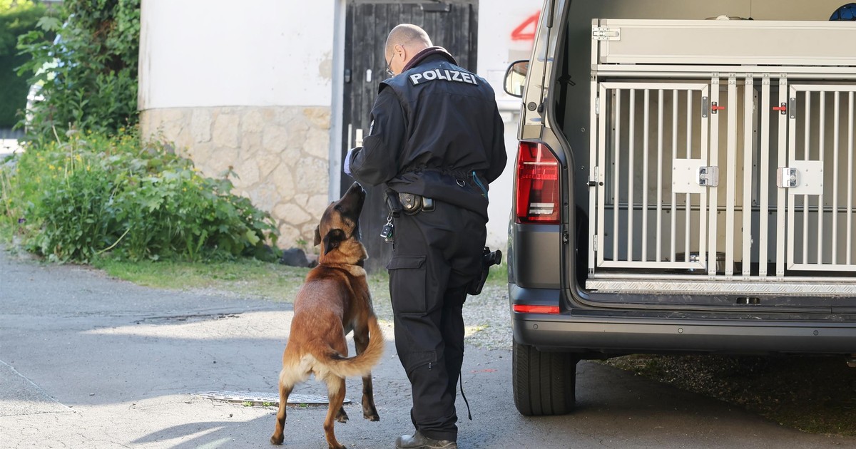 Brutalny atak na 70-letnią Polkę w Niemczech. Policja publikuje rysopis sprawcy