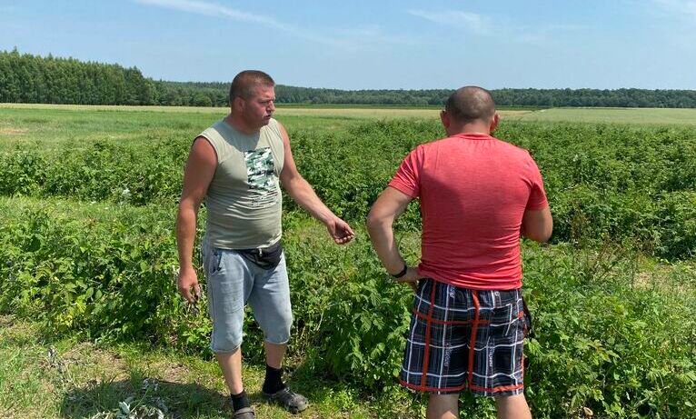 "W tym roku truskawek i malin nie będzie, czekamy na pomoc od państwa”. Rolnicy z Lubelszczyzny stracili całe plantacje