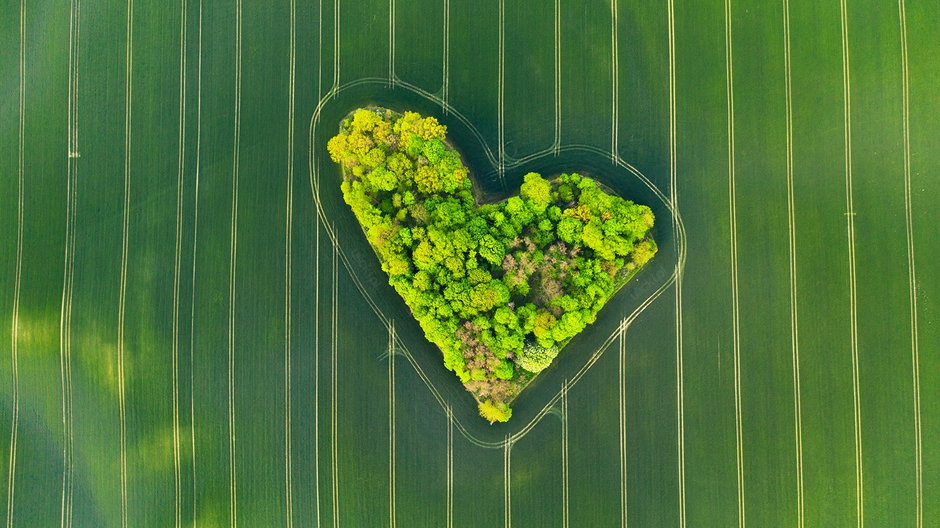 Niezwykłe ujęcie z drona w Polsce. "Serce wiosny" 