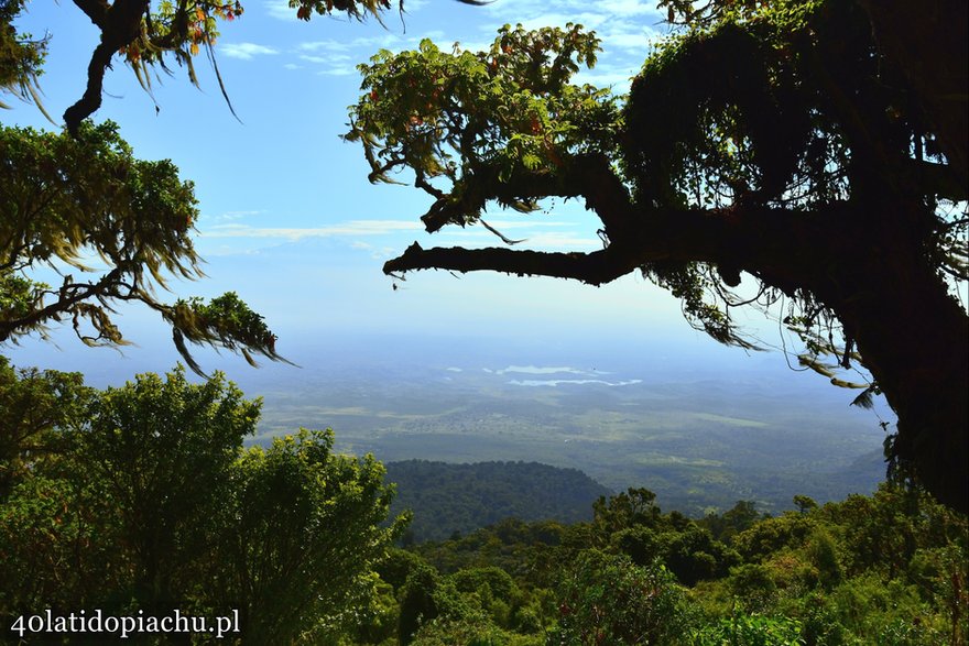 W drodze na Mount Meru, w tle masyw Kilimandżaro